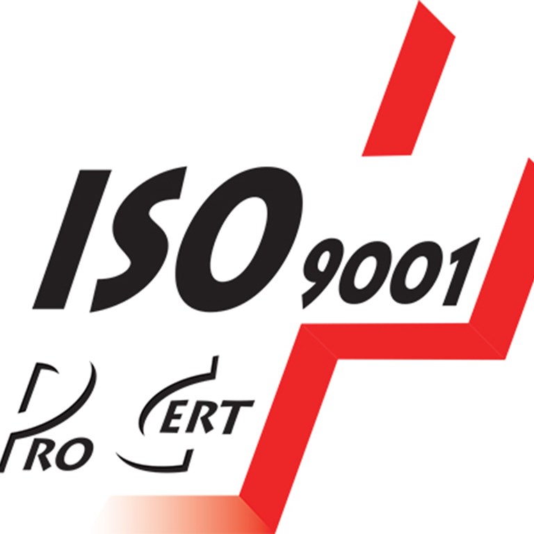 Logo Iso 9001 Klein