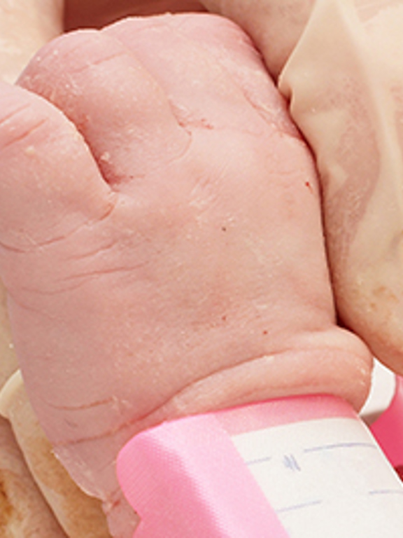 Close-up hand pasgeborene